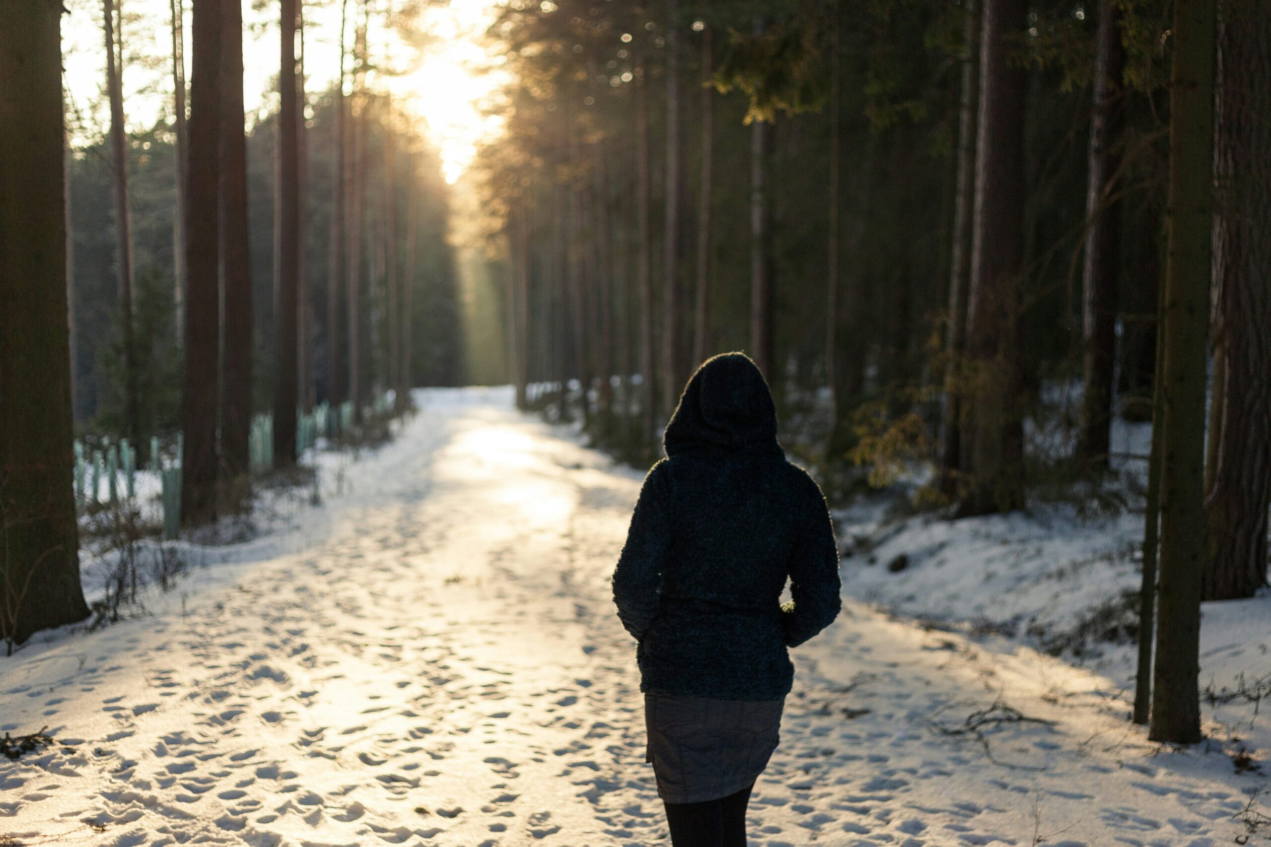 daniel-hering-wmOZPc43wlo-unsplash